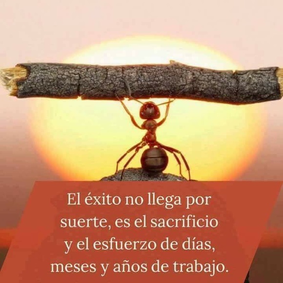 @reynar76 - Picture 5 of 8